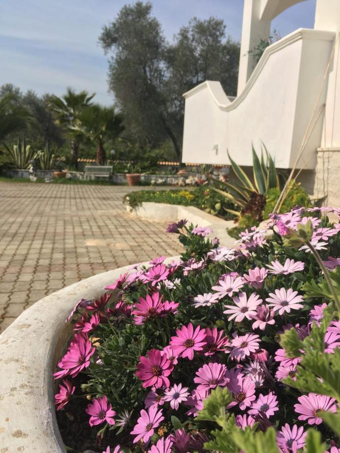 Villa Cristalda فيستَ المظهر الخارجي الصورة